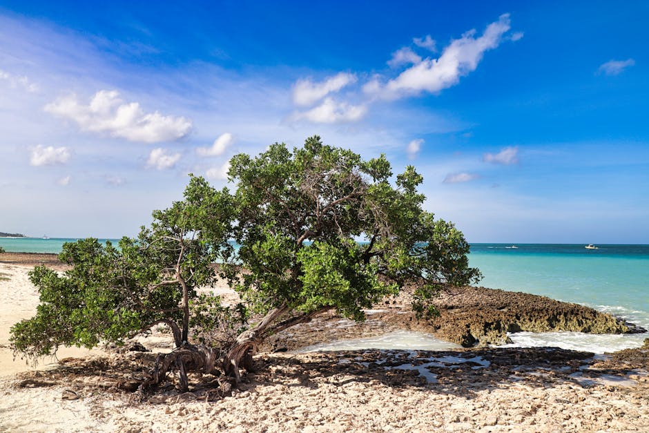 oranjestad-adventure