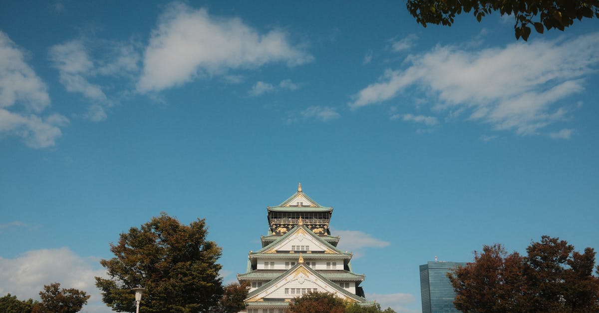 osaka-food-tours