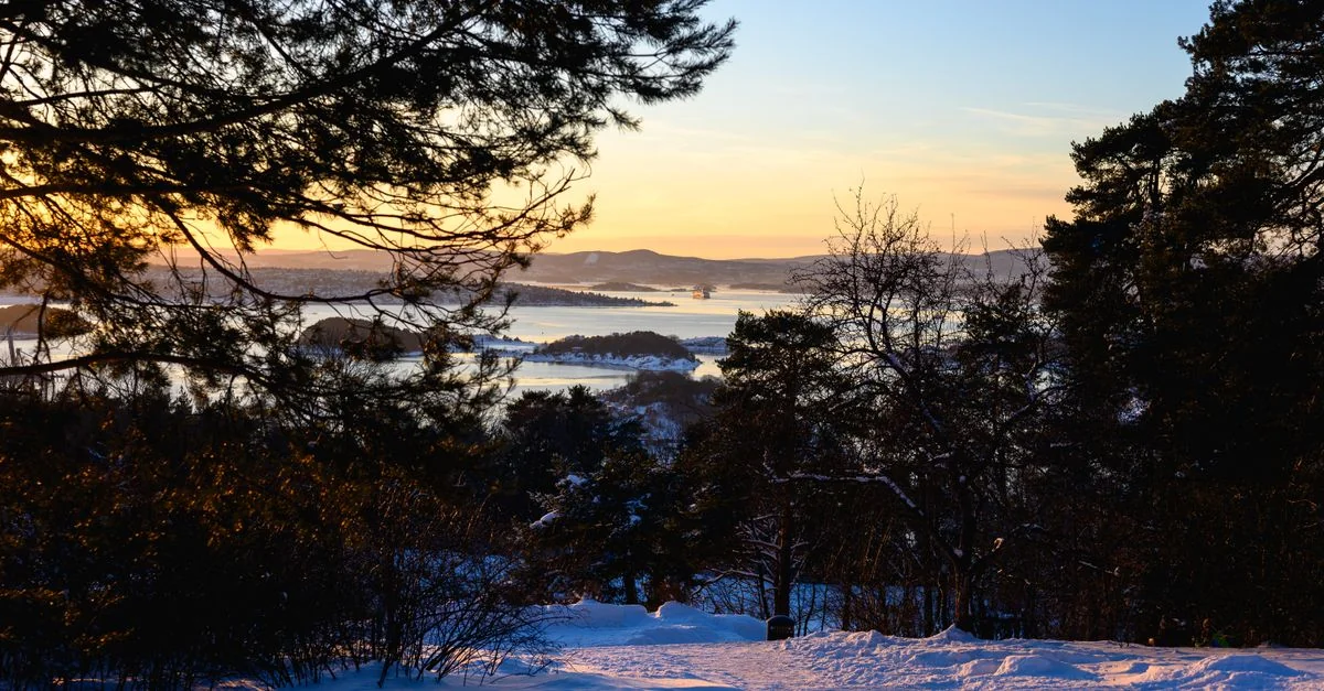 Sailing From Oslo to Frederikshavn by Ferry: The Complete Practical Guide