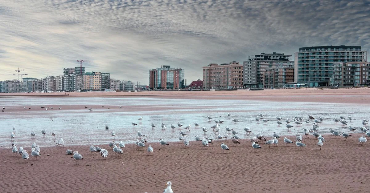 Ostend to Bruges Travel Route Guide