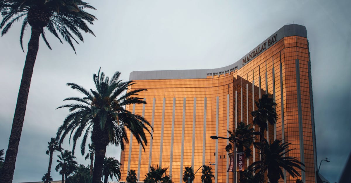 palm-springs-travel-guide
