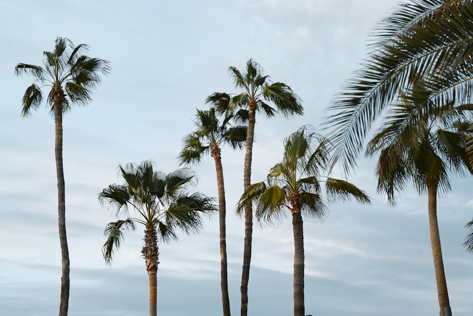 palm-springs-travel-guide