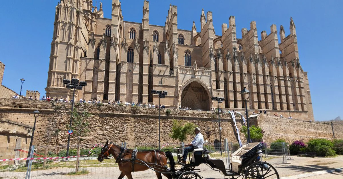 Crossing the Balearic Sea: A Guide to the Palma de Mallorca to Barcelona Ferry