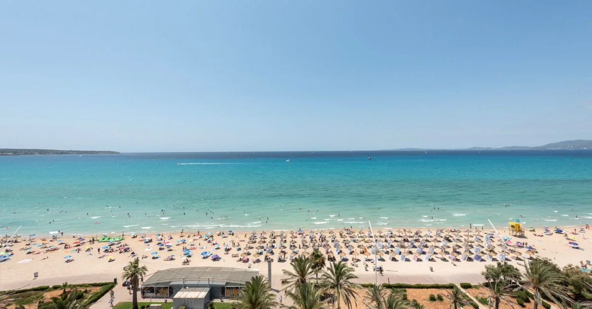 Crossing the Balearic Sea: A Guide to the Palma de Mallorca to Barcelona Ferry