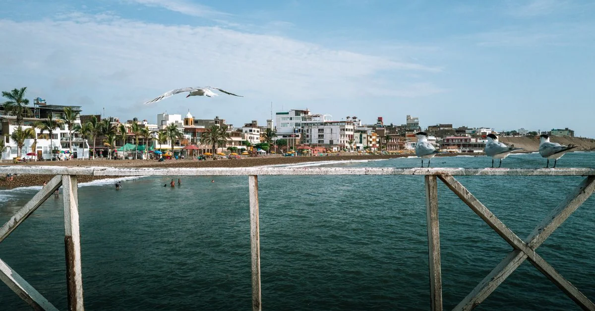 A Practical Guide to Water Sports in Paracas