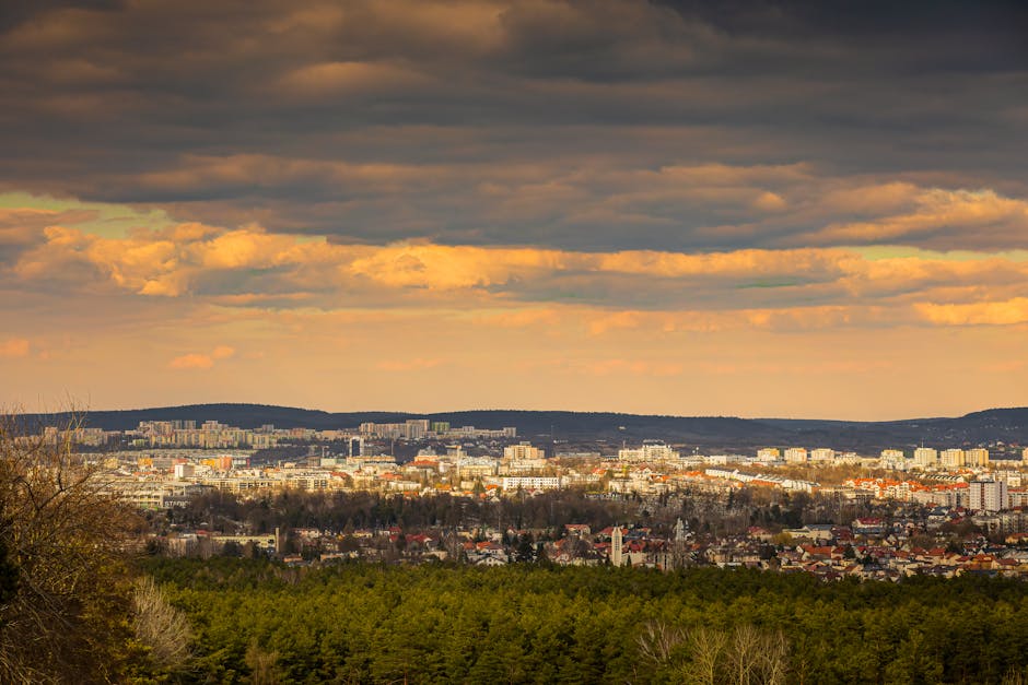 pardubice-to-vienna-train
