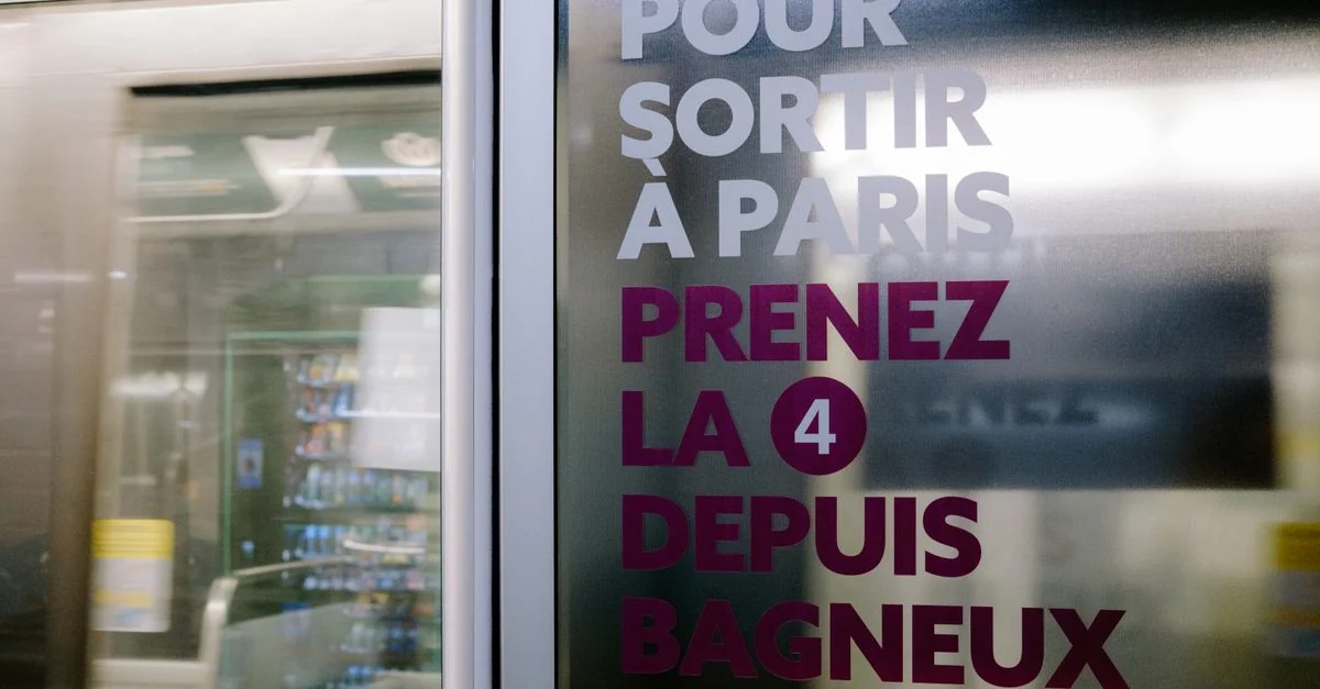 Journey from Paris Gare de Lyon to Geneva