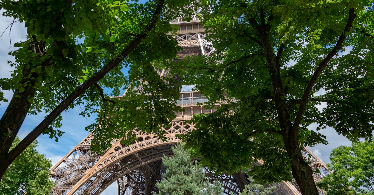 paris-walking-tours