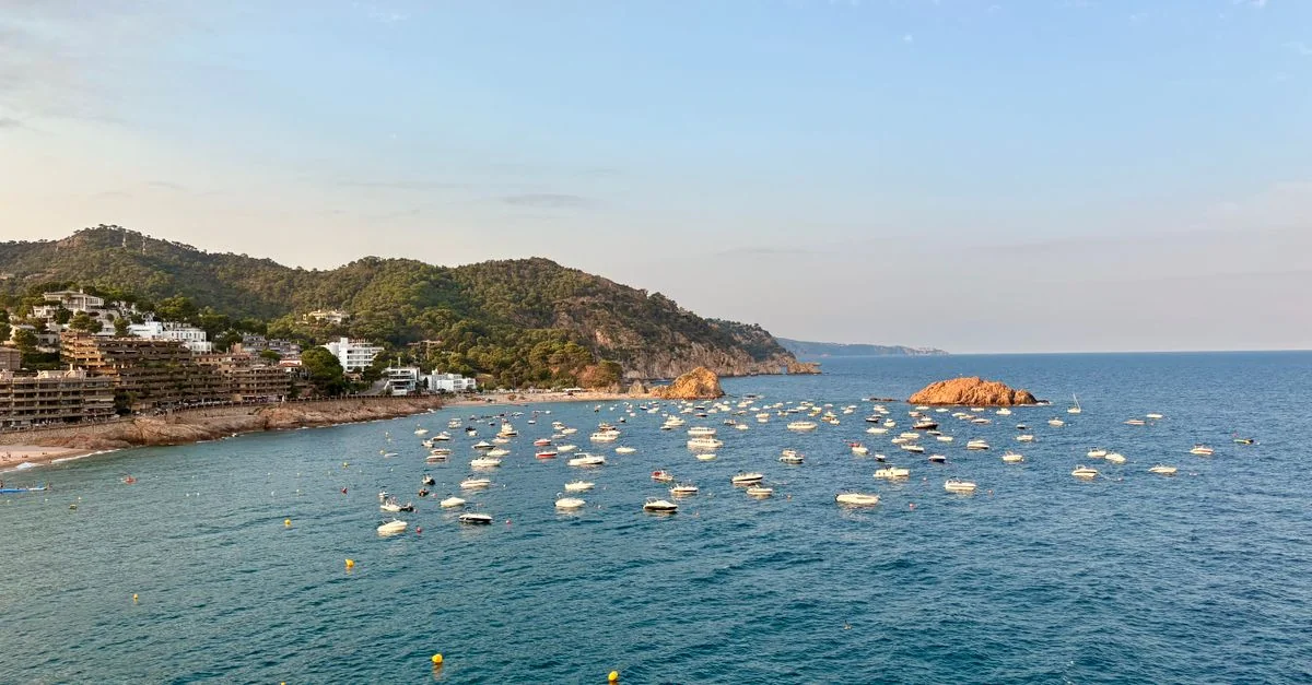 Journey from Pineda de Mar to Barcelona: A Transit Overview
