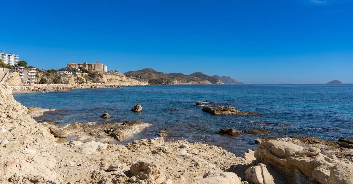 Journey from Pineda de Mar to Barcelona: A Transit Overview