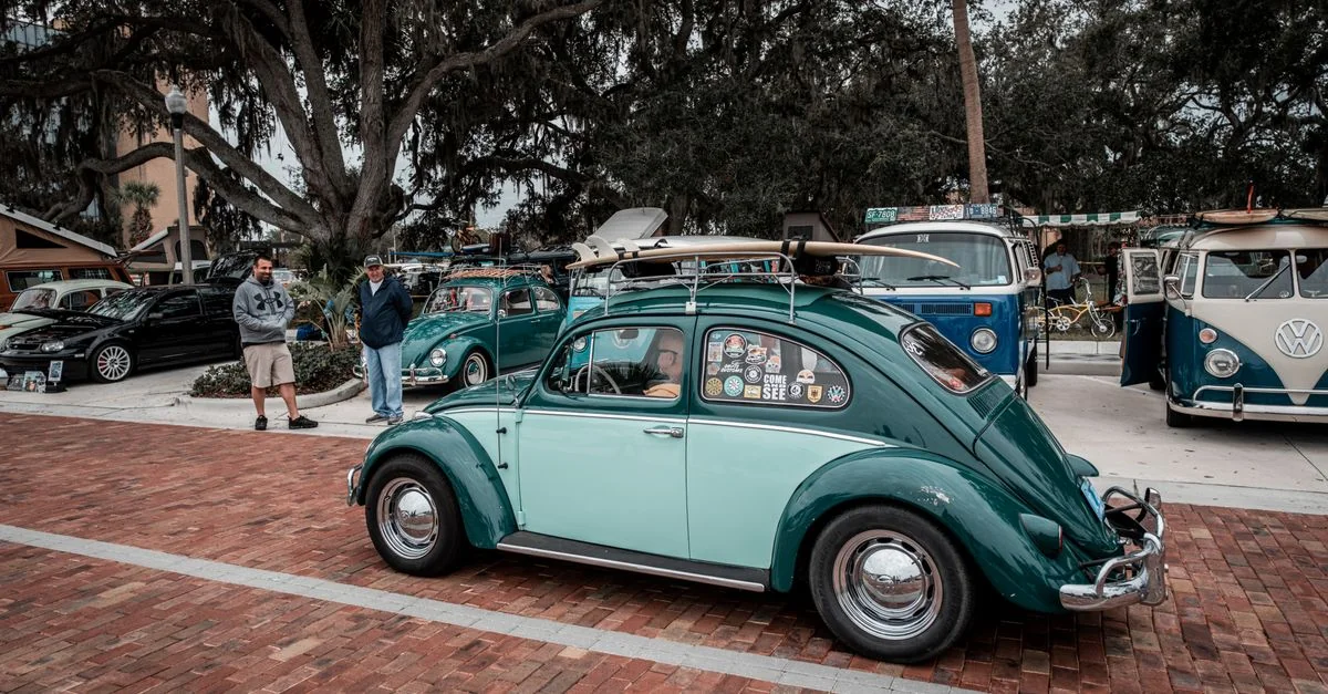 Best Cruise Tours in Pinellas County