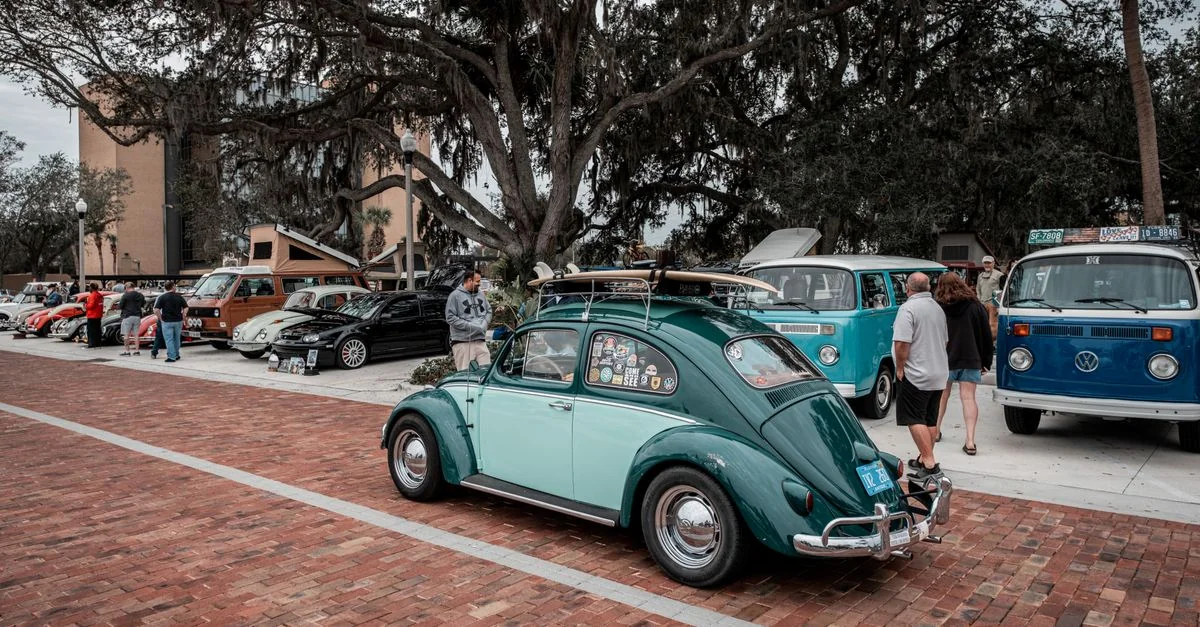 Best Cruise Tours in Pinellas County
