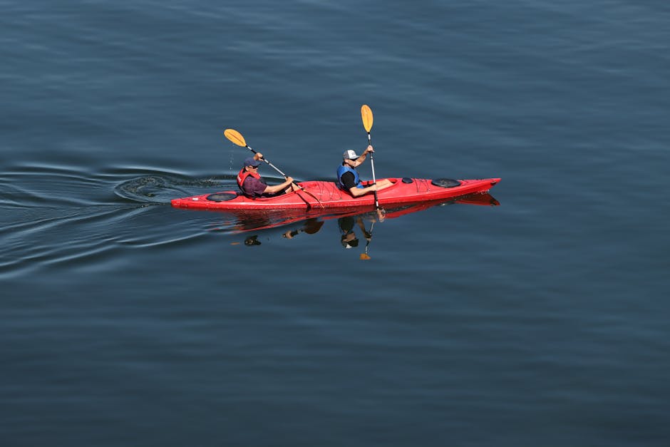 pinellas-county-water-sports