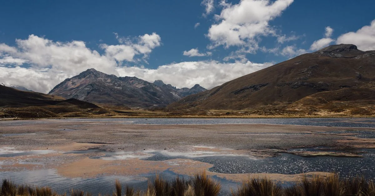 Pisco Day Trips: Navigating the Paracas Coast and Desert Sands