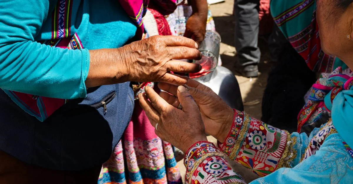 Pisco Day Trips: Navigating the Paracas Coast and Desert Sands