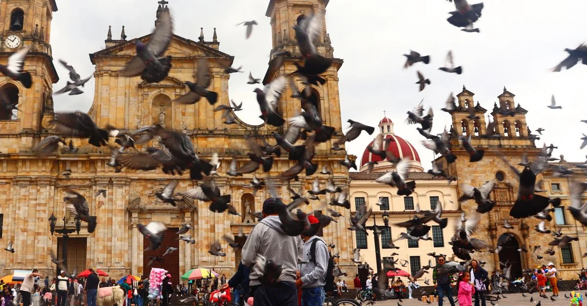 Walking the White Streets: An Art and History Guide to Popayan