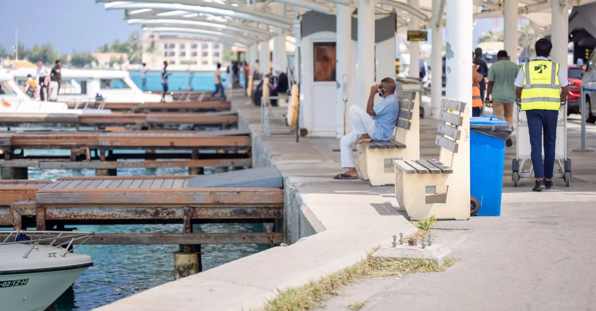 Port Louis Street Food Tours: A Flavor-Packed Exploration of Mauritius