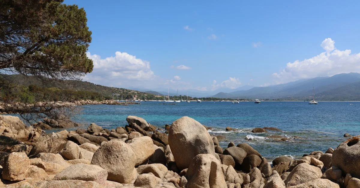 Porto‑Vecchio → Olbia Ferry Guide