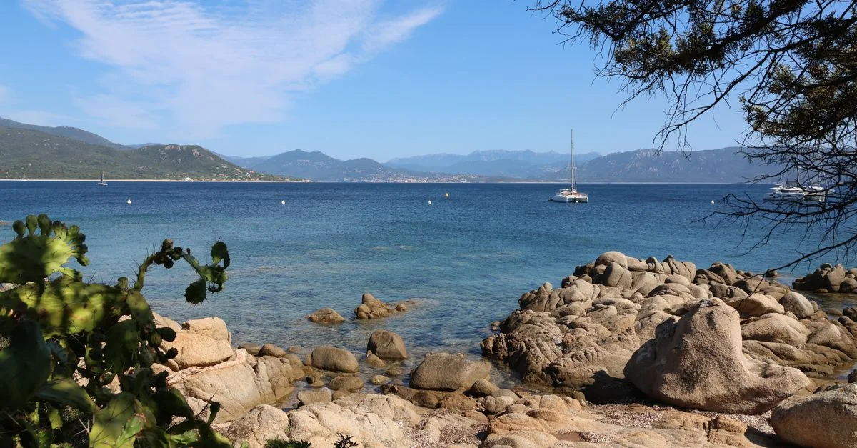 Porto‑Vecchio → Olbia Ferry Guide
