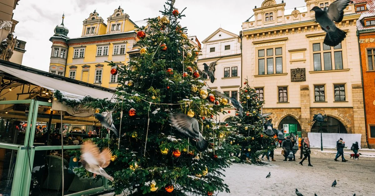 Nature and Wildlife Tours in Prague: Discover Czech Republic