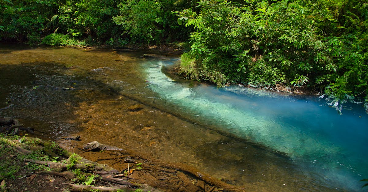 provincia-de-alajuela-day-trips