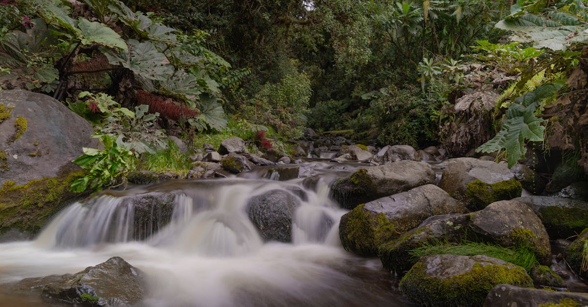 provincia-de-alajuela-day-trips