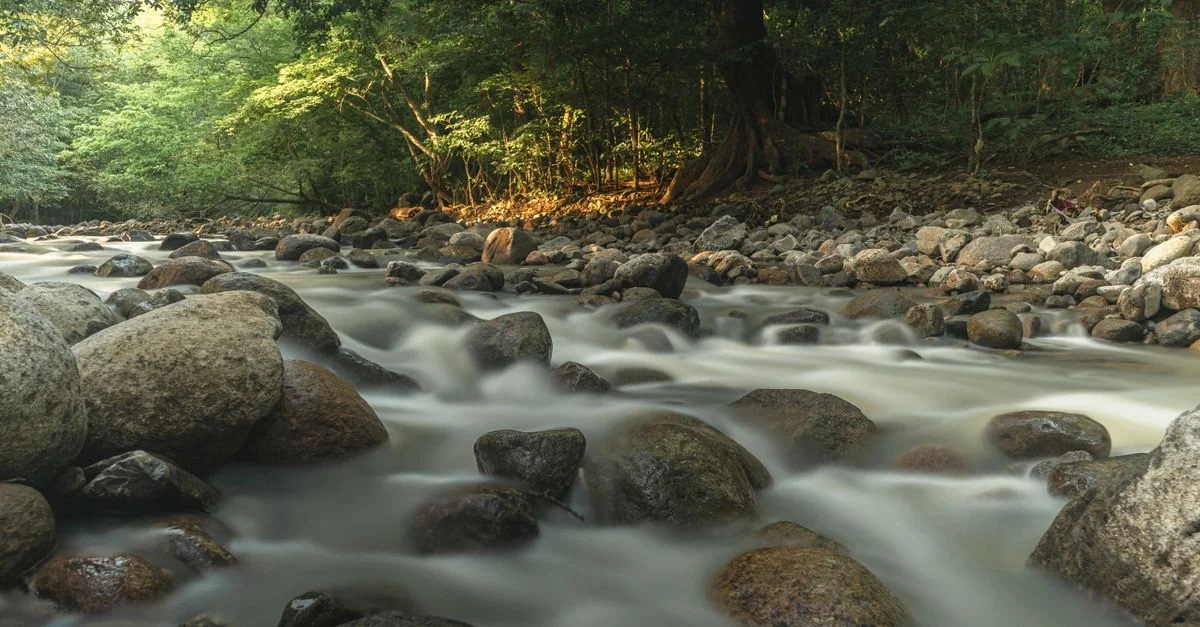 Adventure Awaits: Day Trips From Provincia de Guanacaste