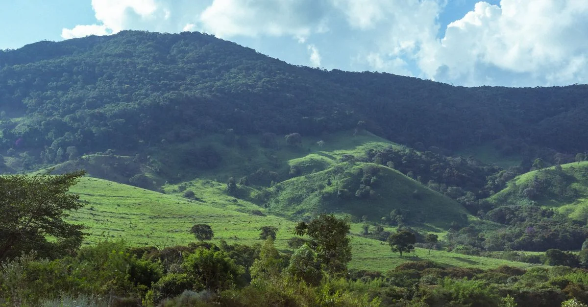 Adventure Awaits: Day Trips From Provincia de Guanacaste