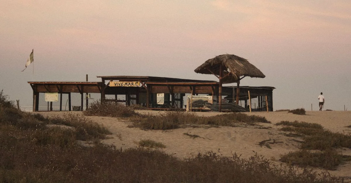 Puerto Escondido Water Sports Guide: Best Marine Activities and Tours