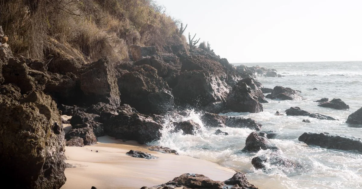 Puerto Escondido Water Sports Guide: Best Marine Activities and Tours