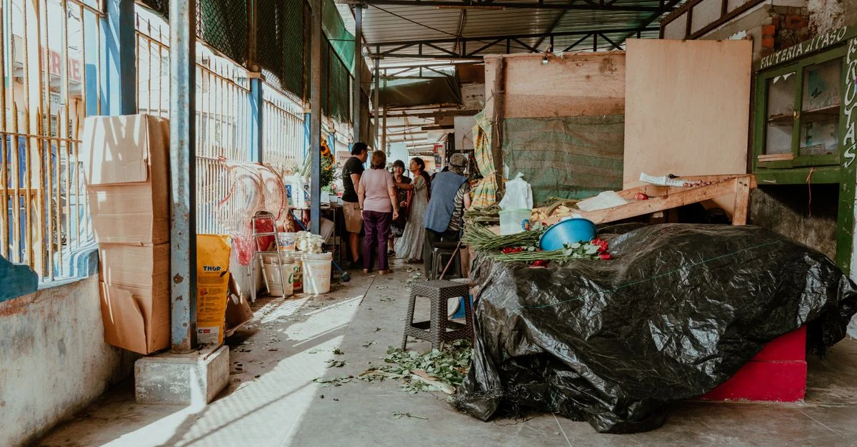Puerto Maldonado Multi-Day Tours: A Practical Guide