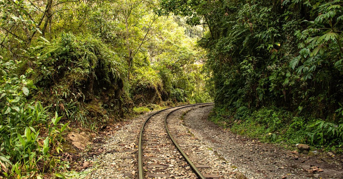 Puerto Maldonado Multi-Day Tours: A Practical Guide