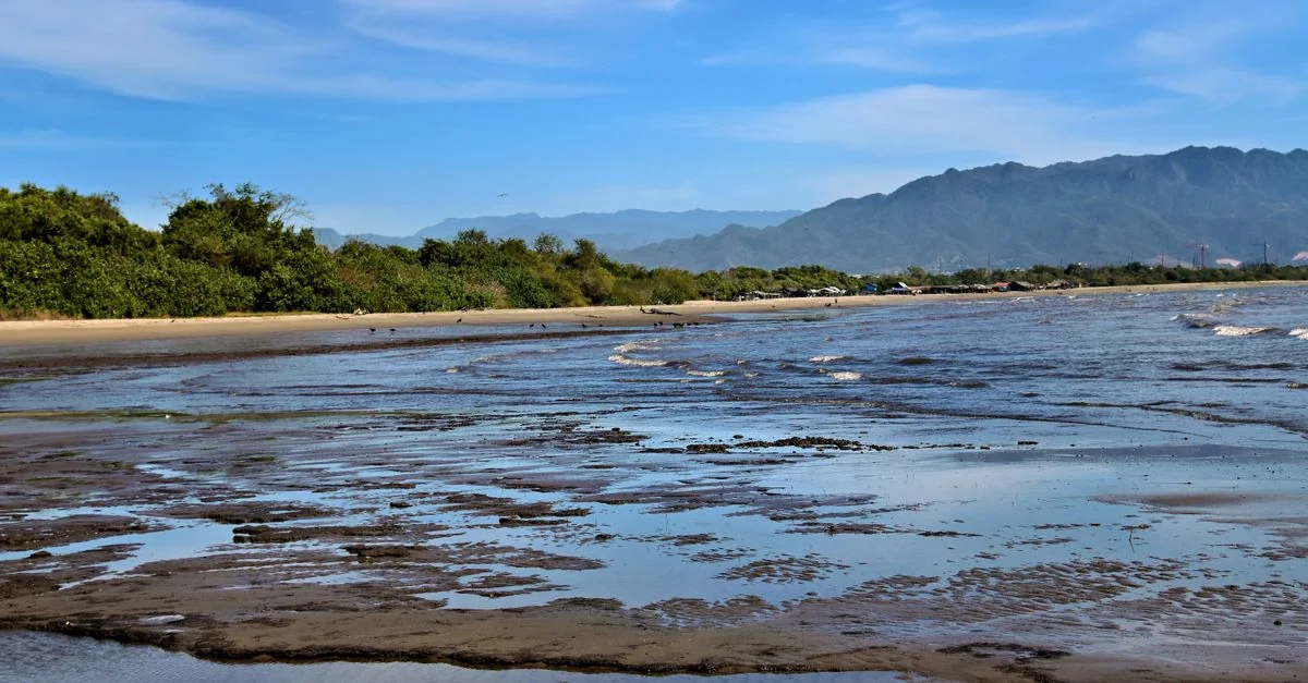 Unforgettable Food Tours in Puerto Plata: A Culinary Adventure