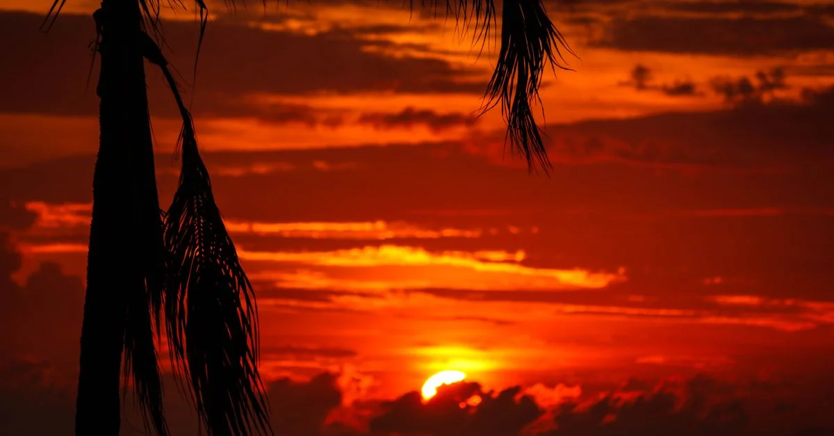 Exploring Puerto Vallarta&rsquo;s Bold Flavors: A Foodie&rsquo;s Guide