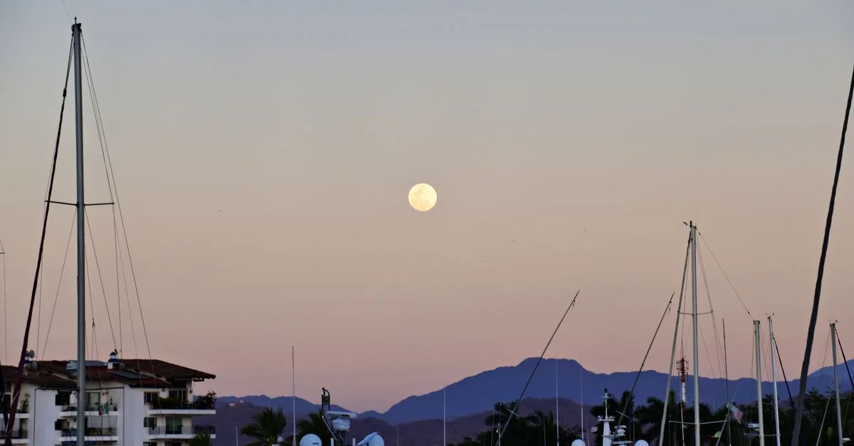 Exploring Puerto Vallarta&rsquo;s Bold Flavors: A Foodie&rsquo;s Guide