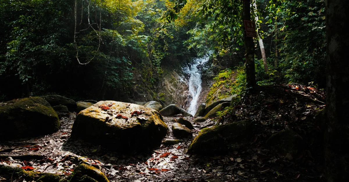 Explore Pulau Pinang on Foot: The Best Walking Tours for Culture and Adventure