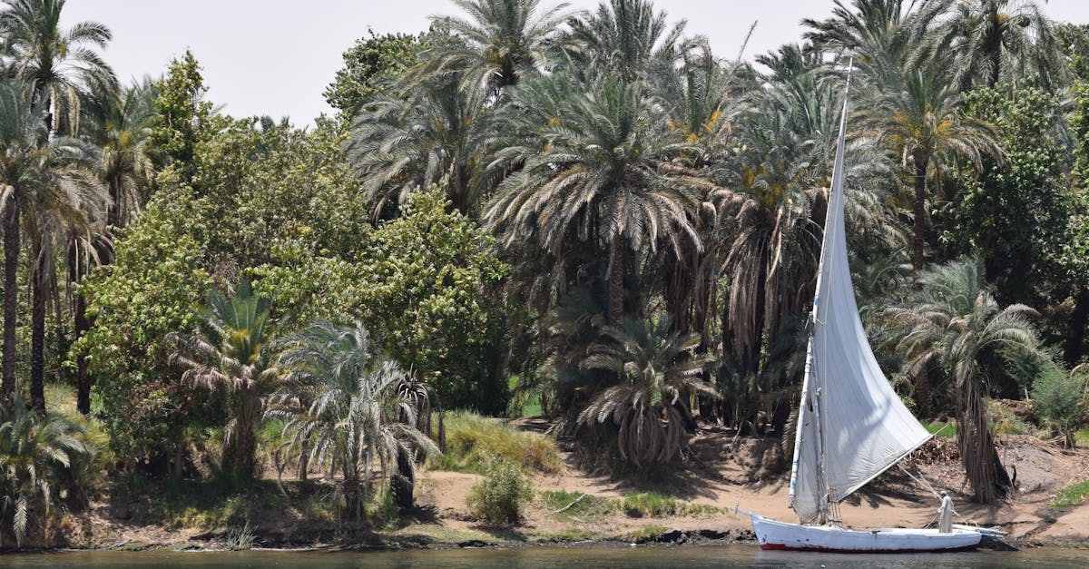 qasr-el-nil-adventure