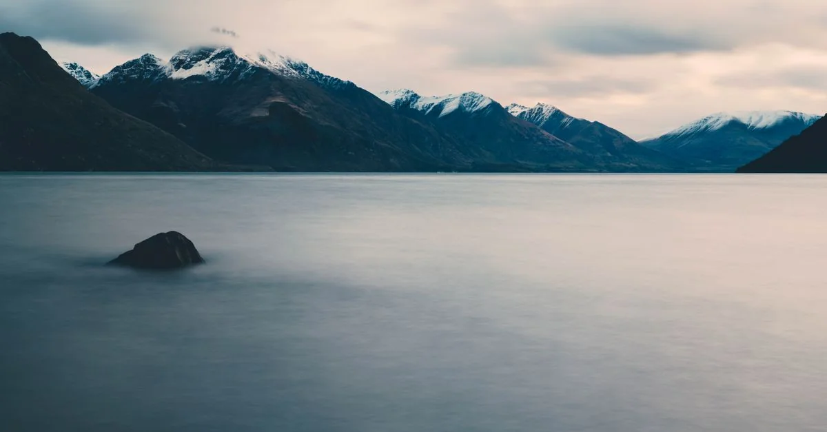 Nature and Wildlife Tours in Queenstown: Safari, Birdwatching and Eco Adventures