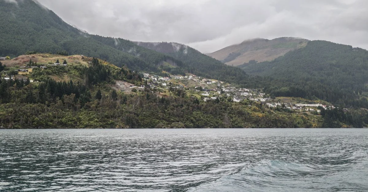 Nature and Wildlife Tours in Queenstown: Safari, Birdwatching and Eco Adventures