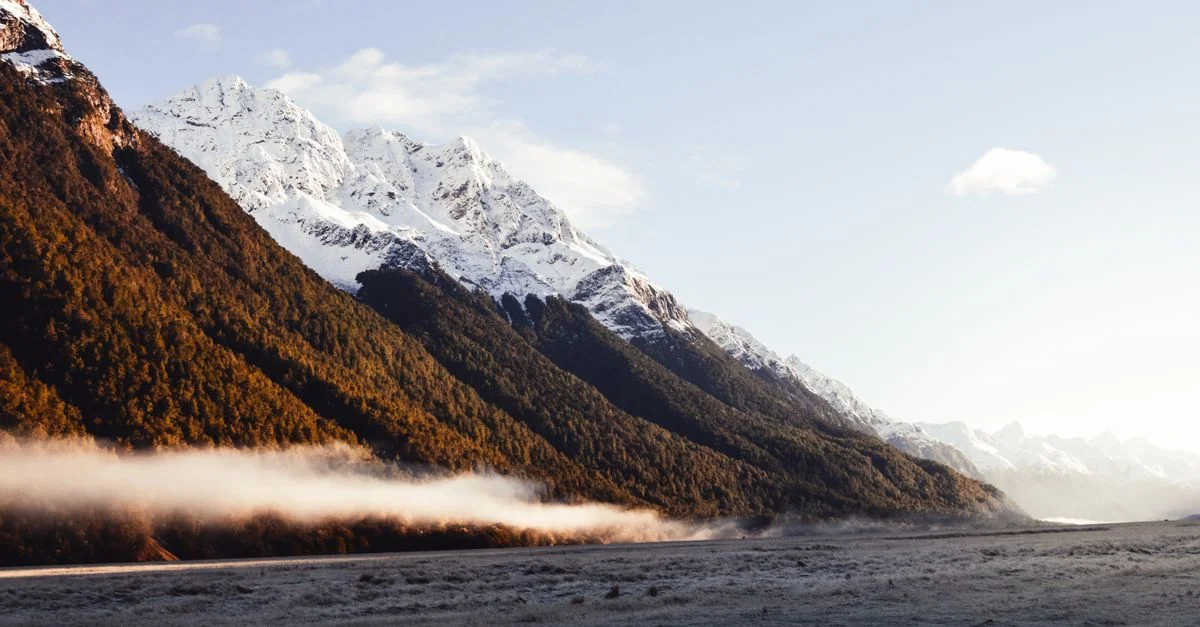 Nature and Wildlife Tours in Queenstown: Safari, Birdwatching and Eco Adventures