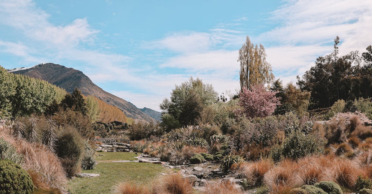 queenstown-new-zealand