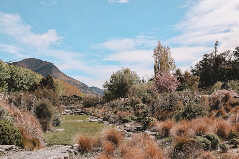 queenstown-new-zealand