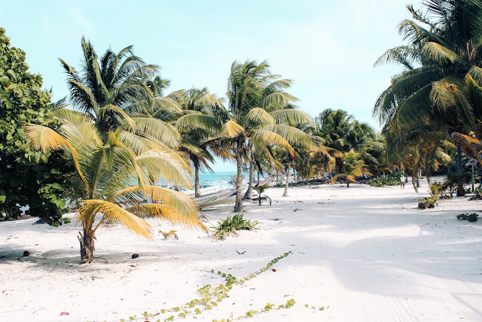 quintana-roo-day-trips