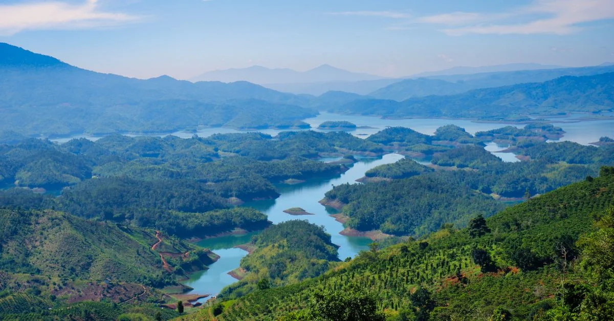 Quảng Nam Food Tours: A Culinary Journey Through Vietnam&rsquo;s Heartland