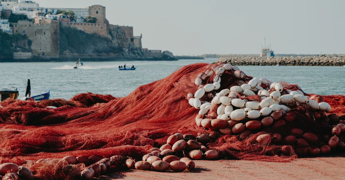 The Ultimate Guide to Rabat Multi-Day Tours