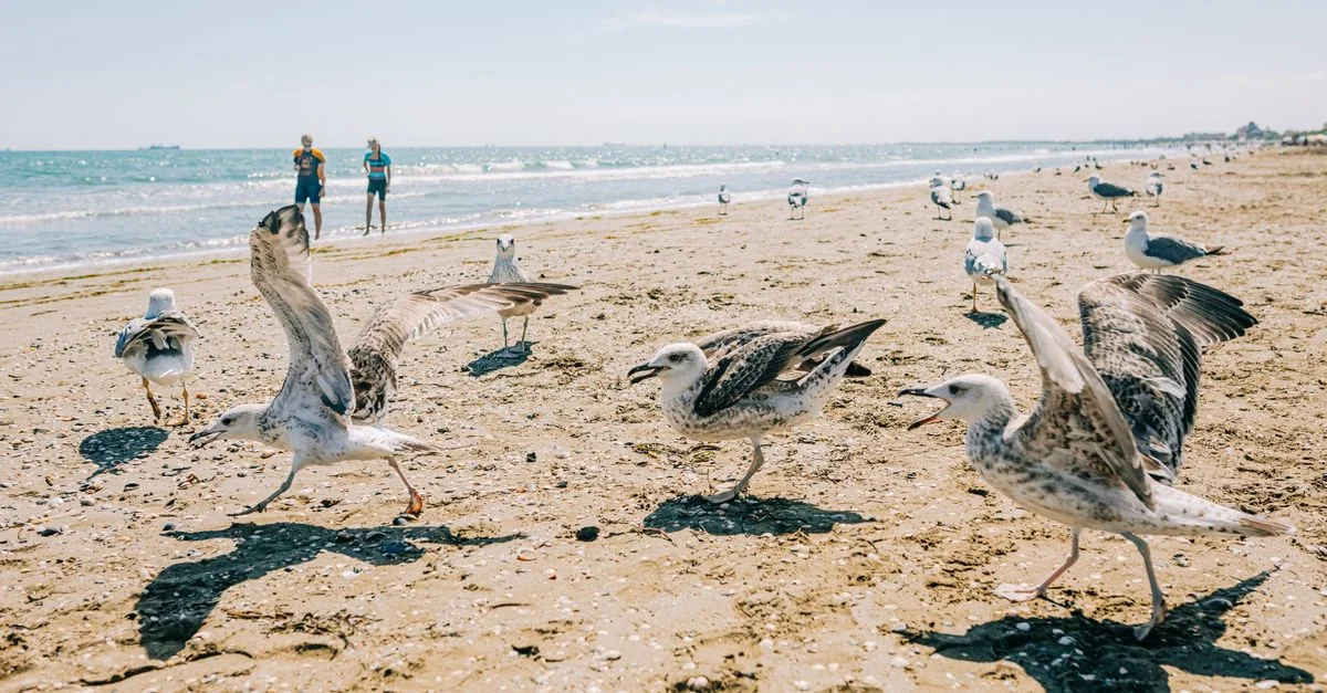 Riccione to Modena: A Journey Through Italy&rsquo;s Heartland