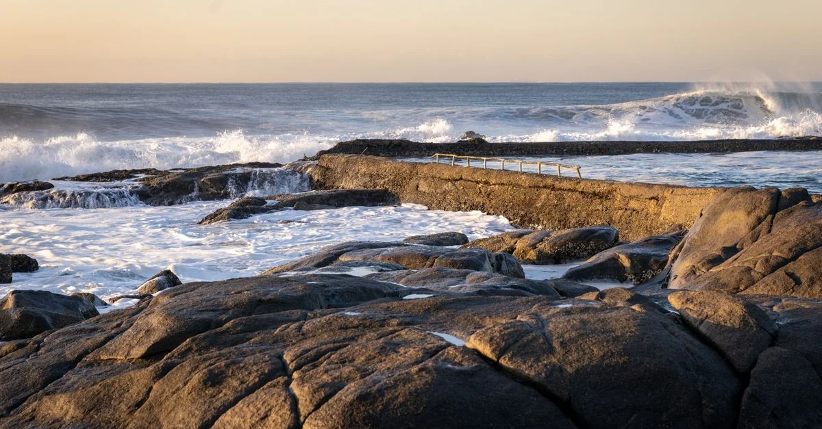 Day Trips From Richards Bay: Safari Reserves and Coastal Wilderness