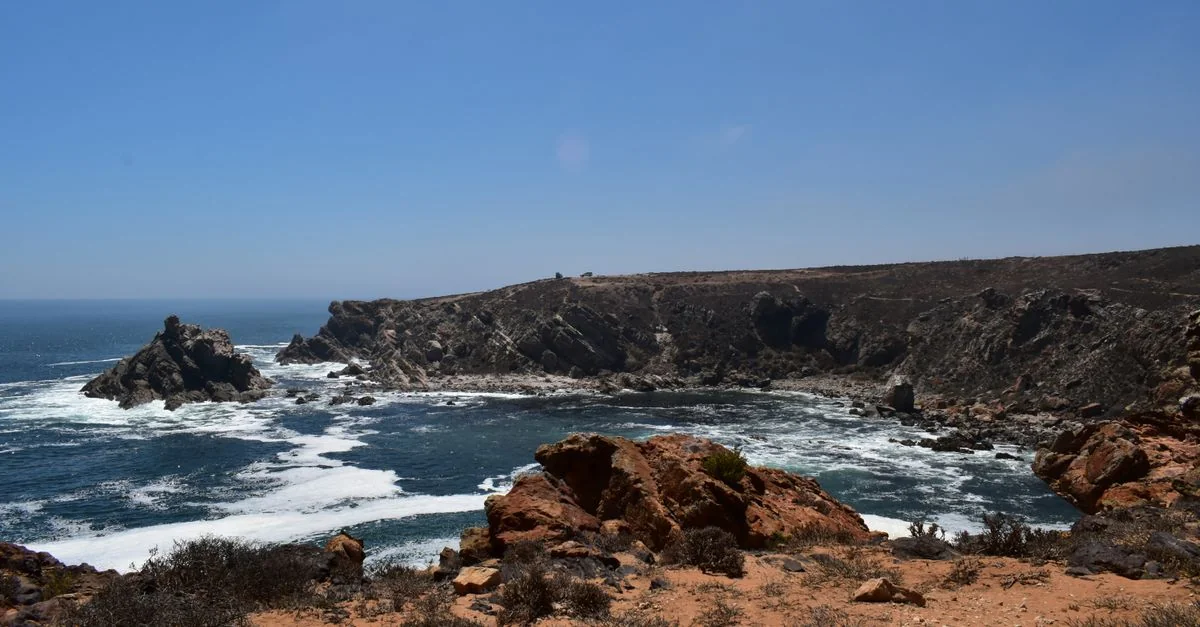 Day Trips From Richards Bay: Safari Reserves and Coastal Wilderness
