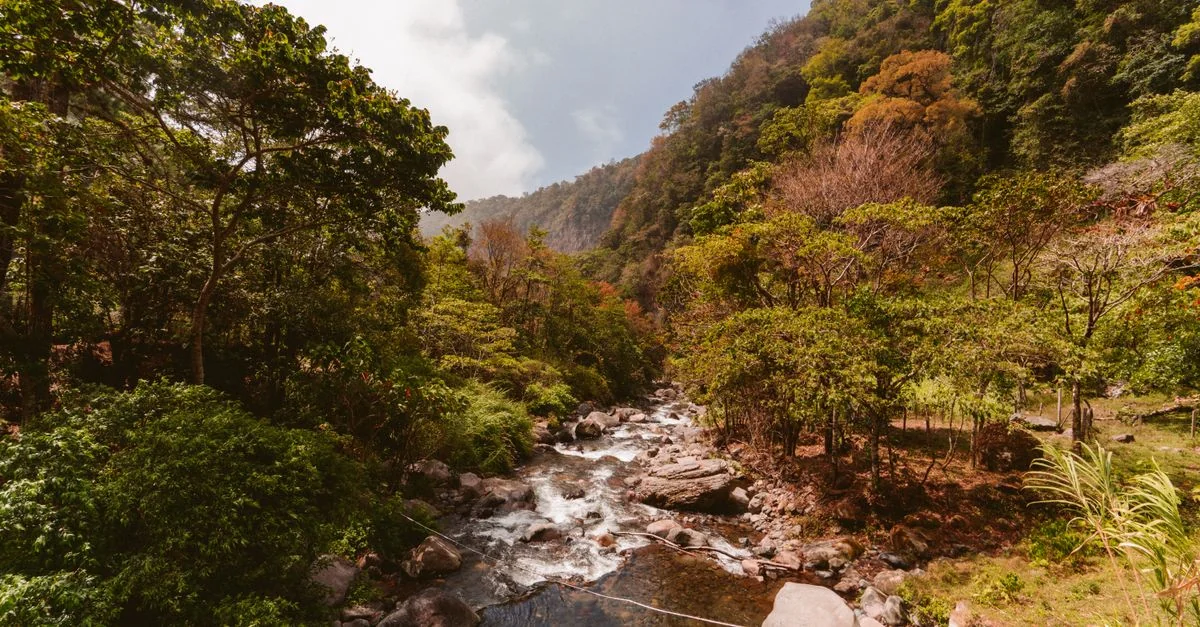 Exploring the Best Multi-Day Tours from Riviere des Anguilles: A Comprehensive Guide