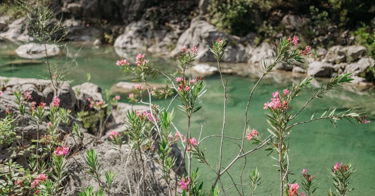 Exploring the Best Multi-Day Tours from Riviere des Anguilles: A Comprehensive Guide